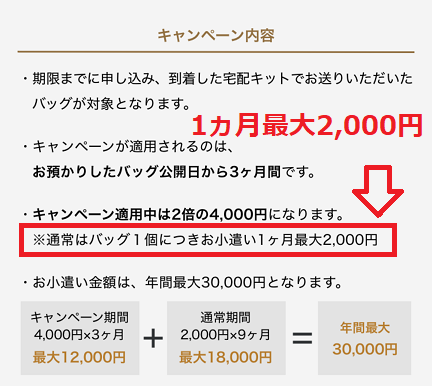 ラクサスX（LaxusX）収入