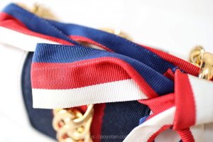 GUCCI：シルヴィ