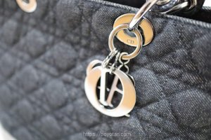 クリスチャンディオール Christian Dior：レディディオール