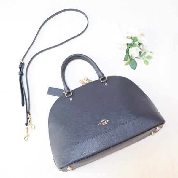 ラクサスに貸したバッグ