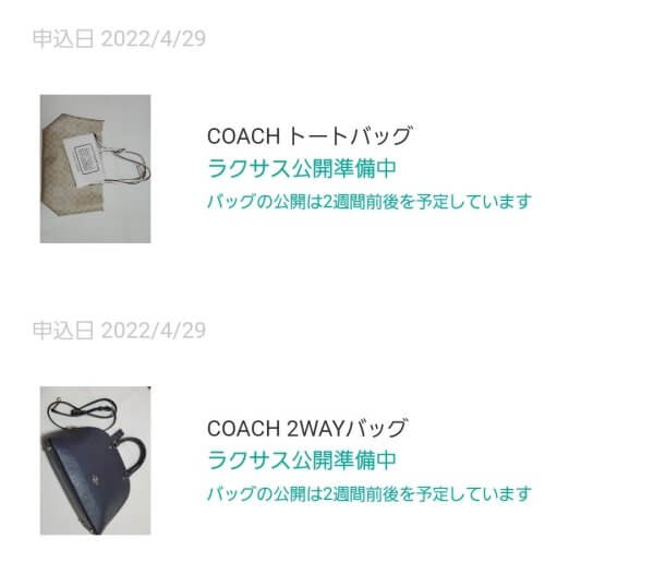 ラクサスに貸したバッグ