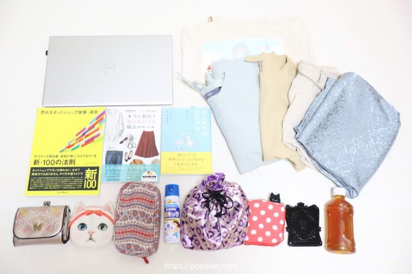 ガストンルーガ(GASTON LUGA)のRESENÄR（レセナール）の収納力