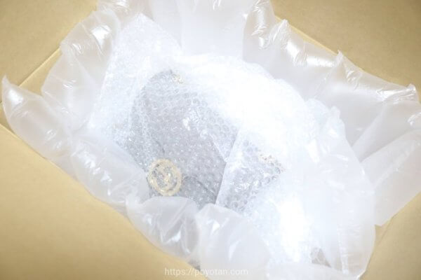 ラクサスX：バッグ破損