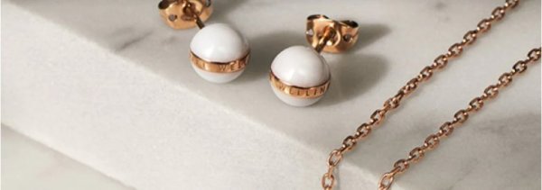 ダニエルウェリントンのネックレス｜Aspirationコレクション