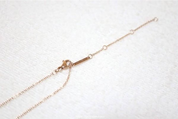 Daniel Wellington(ダニエルウェリントン)：ネックレス