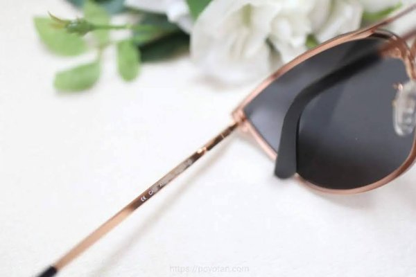 Daniel Wellington(ダニエルウェリントン)：サングラス