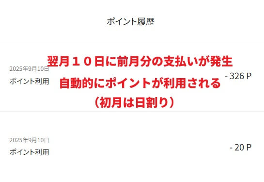 サマリーポケットのポイント