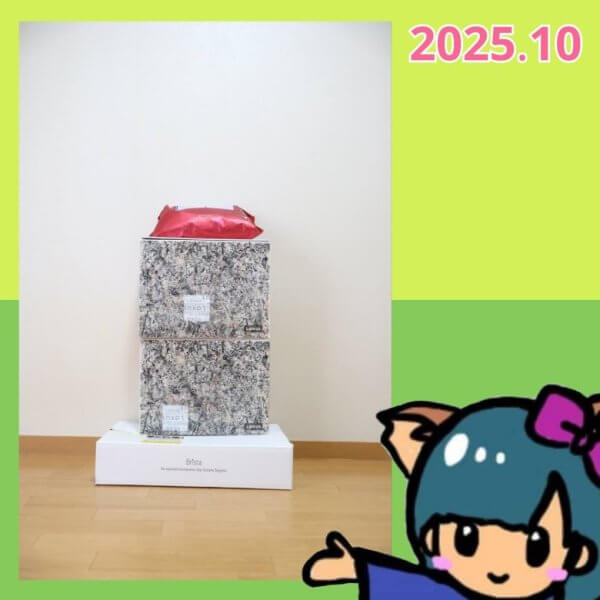 ファッションレンタルの箱