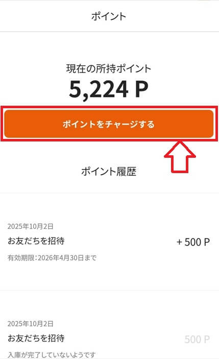 サマリーポケットのポイント