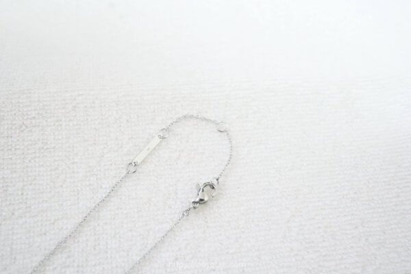 ダニエルウェリントンのネックレス