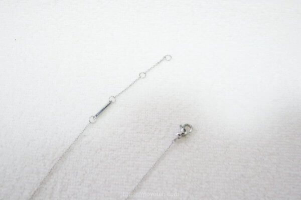 ダニエルウェリントンのネックレス