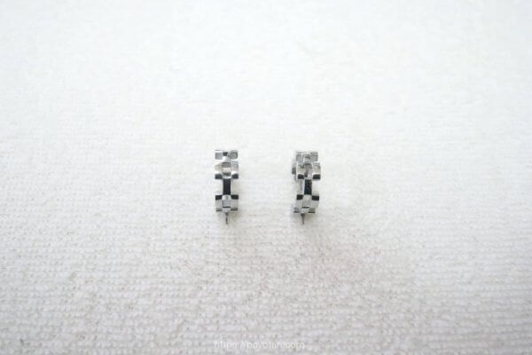 ダニエルウェリントンのピアス