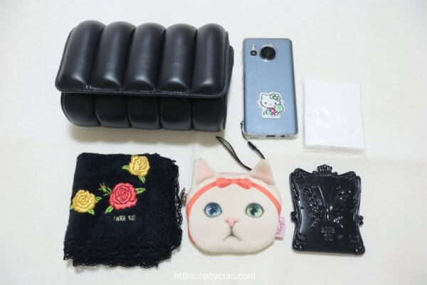 ダニエルウェリントン:Mini Sadie Bag Black