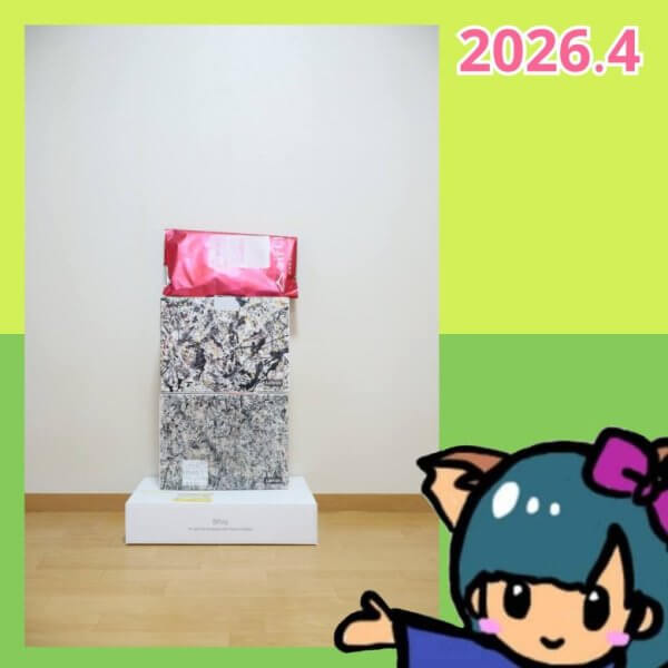 ファッションレンタルの箱
